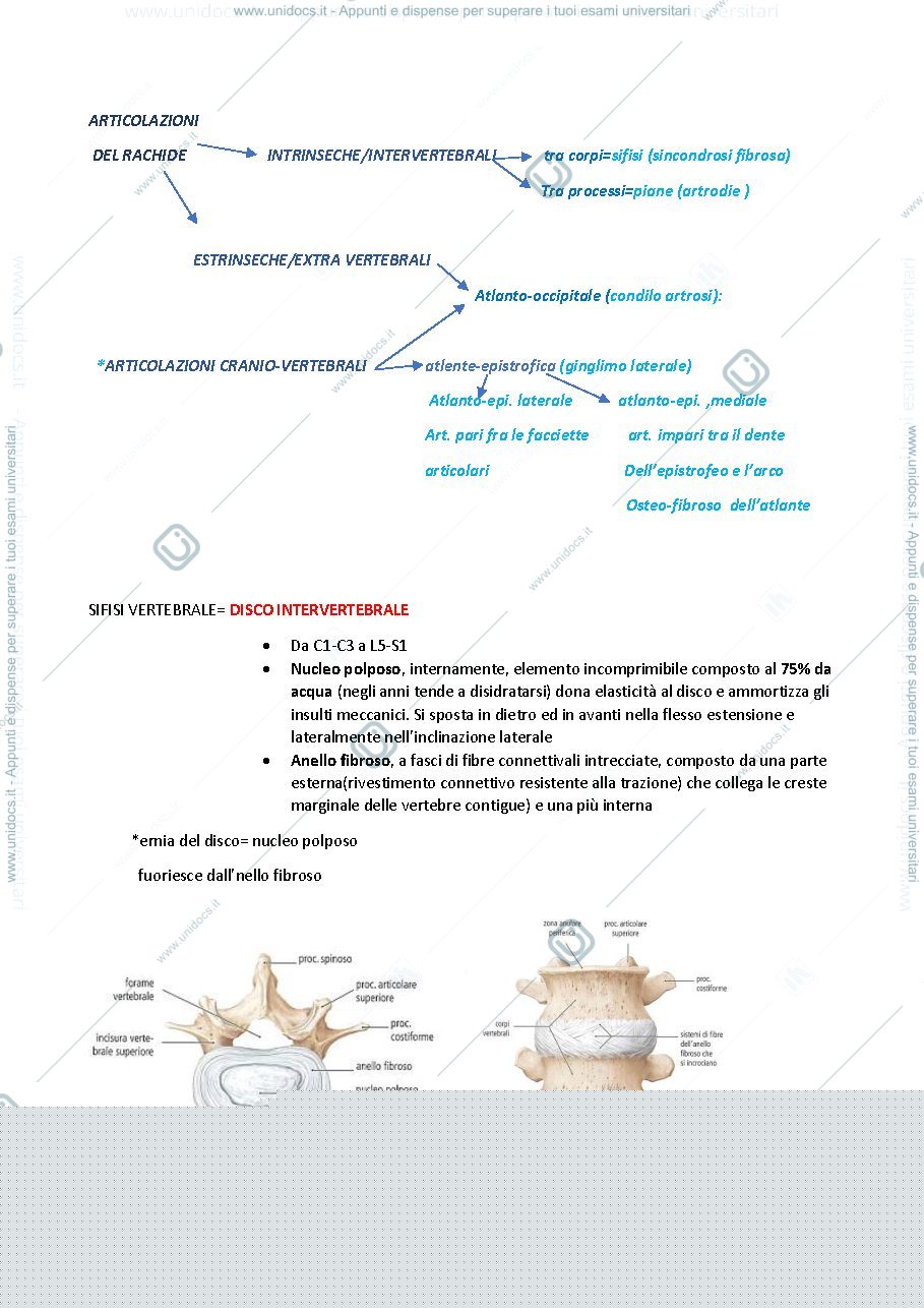 Anteprima pagina 1 — Anatomia rachide