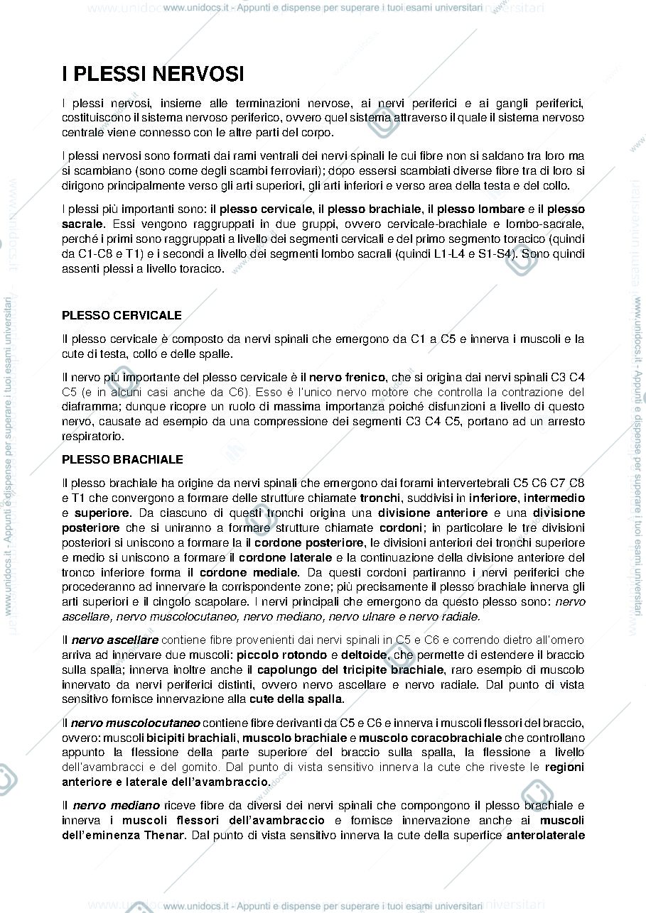 Anteprima pagina 1 — i plessi nervosi