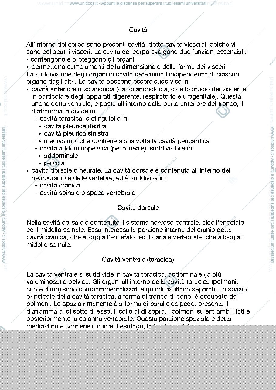 Anteprima pagina 1 — Cavità anatomiche