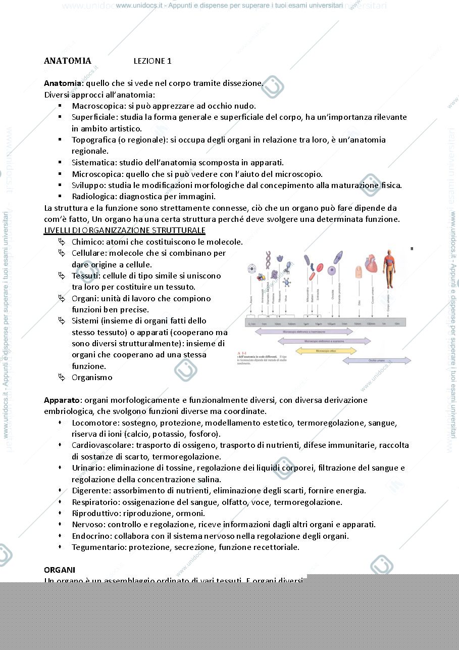 Anteprima pagina 1 — anatomia generale