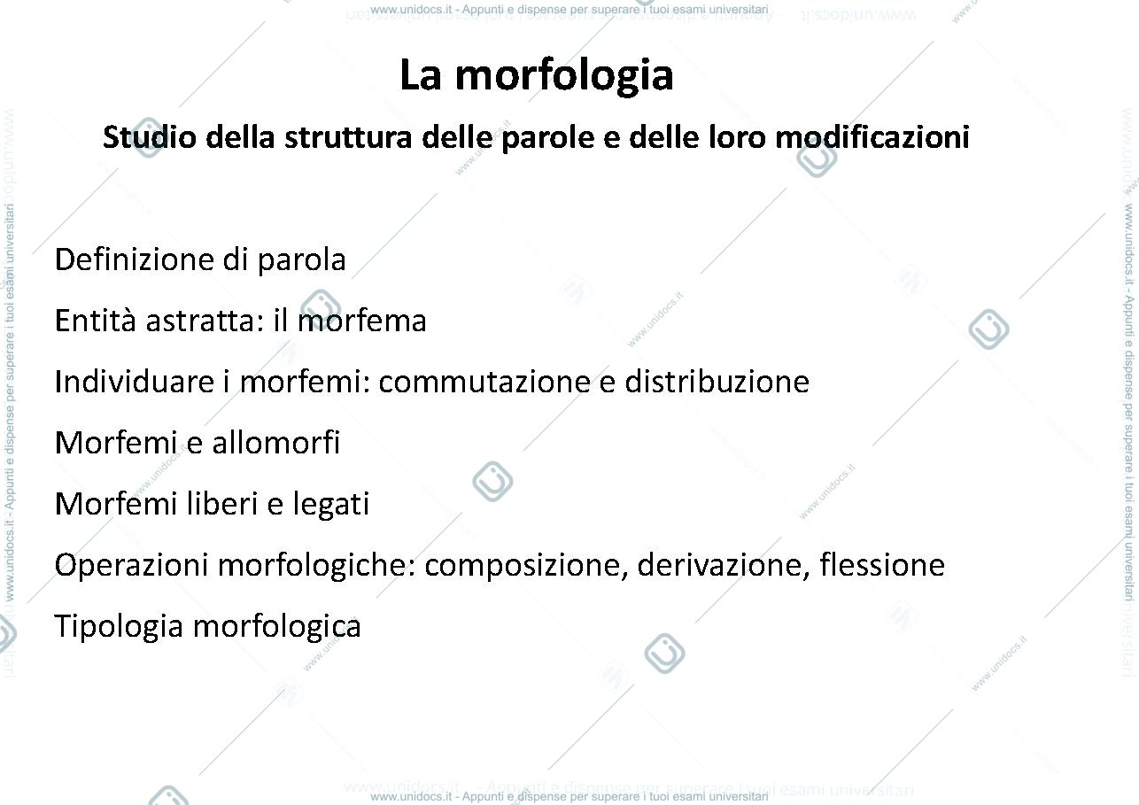 Anteprima pagina 2 — dispensa morfologia