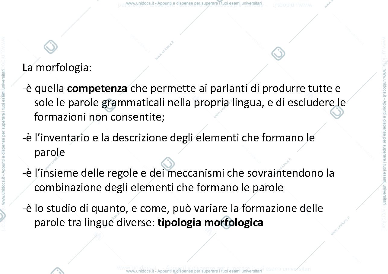 Anteprima pagina 4 — dispensa morfologia