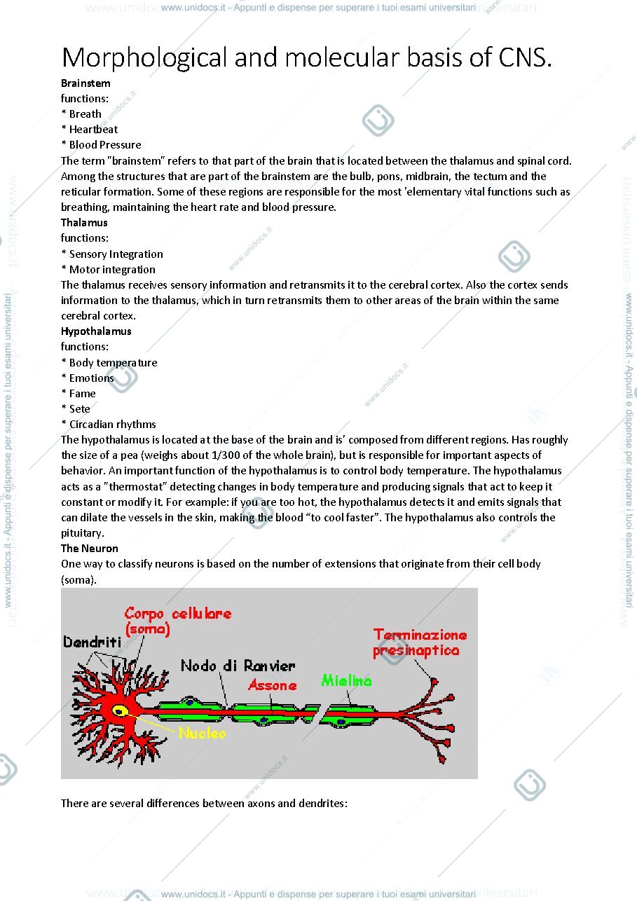 Anteprima pagina 3 — APPUNTI di MORPHOLOGY of CNS
