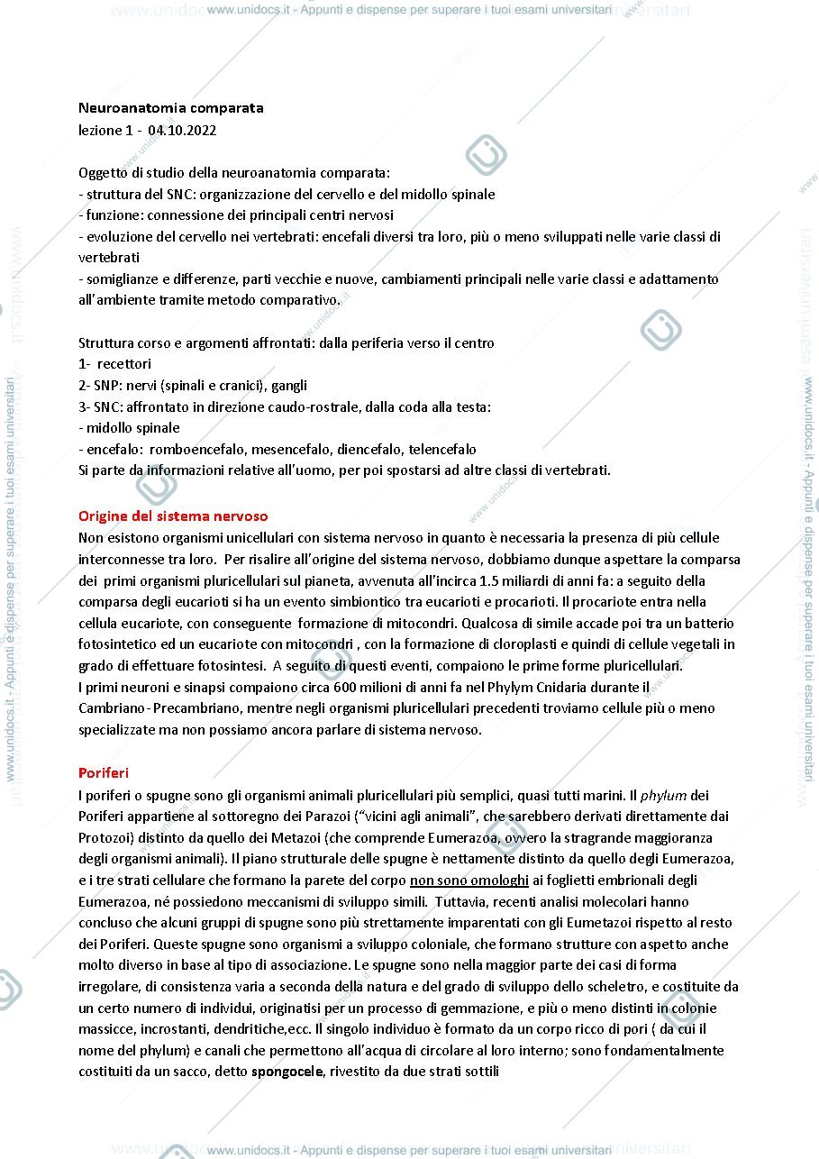 Anteprima pagina 1 — lezione 1 