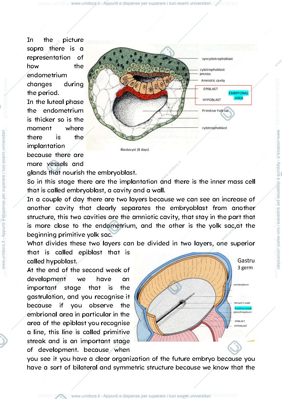 Anteprima pagina 2 — EMBRYOGENESIS