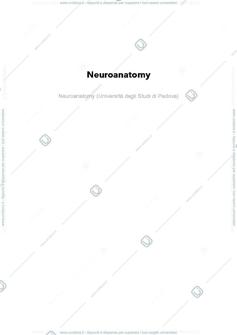 Anteprima pagina 1 — Neuroanatomy