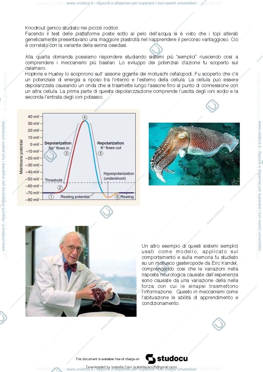Anteprima pagina 4 — Neurobiologia comparata
