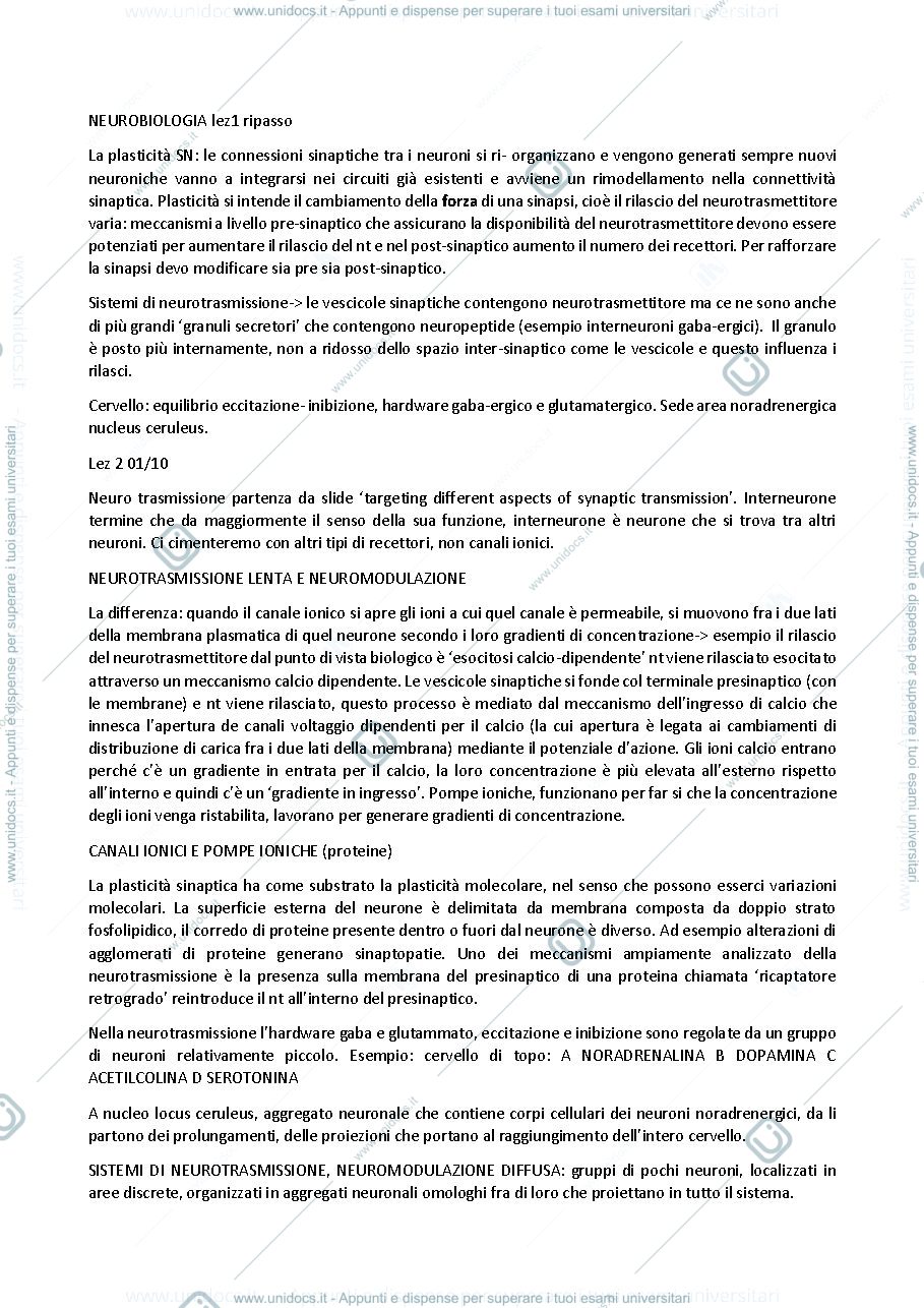 Anteprima pagina 1 — Prime 6 lezioni prof Fiorenza