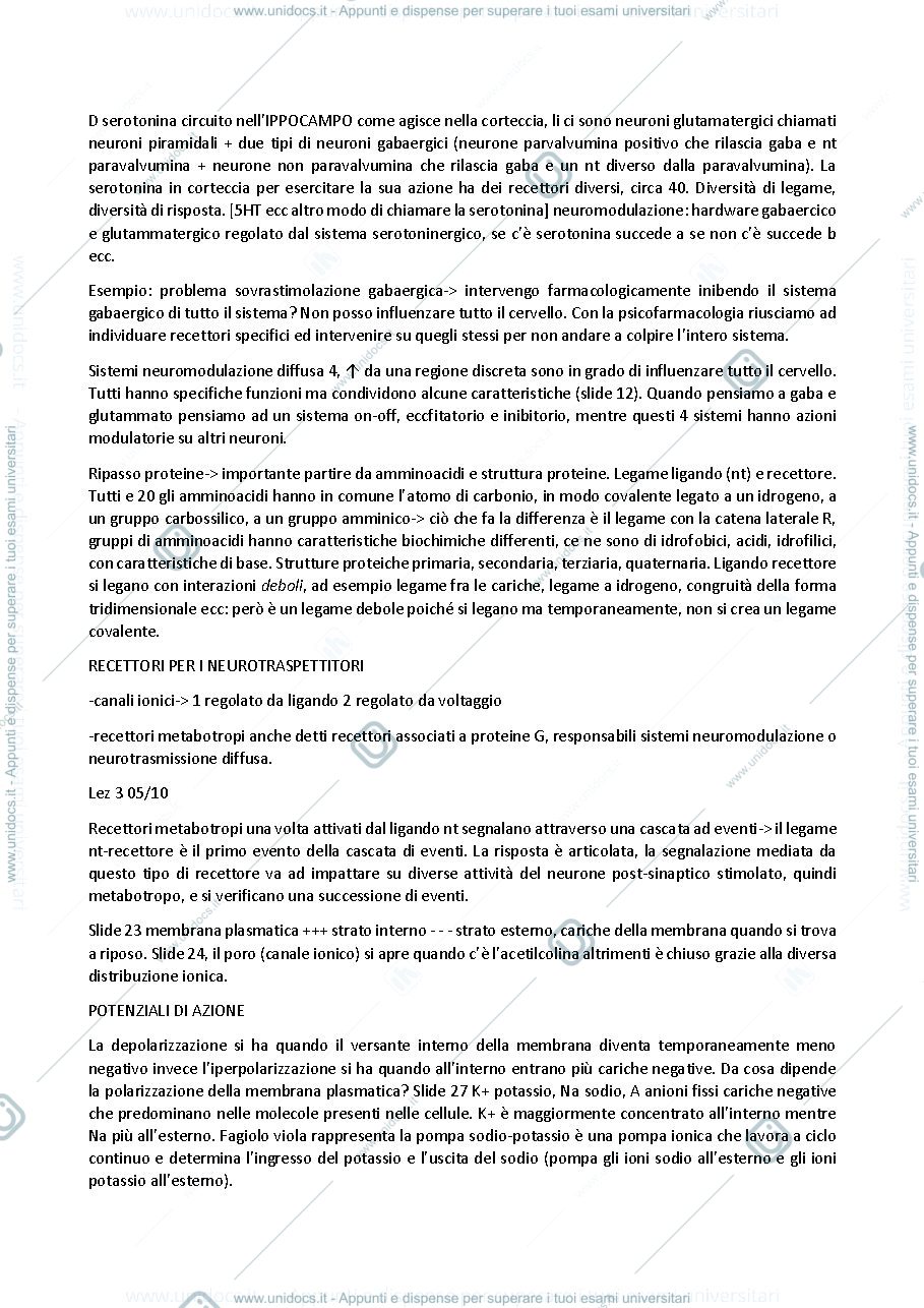 Anteprima pagina 2 — Prime 6 lezioni prof Fiorenza