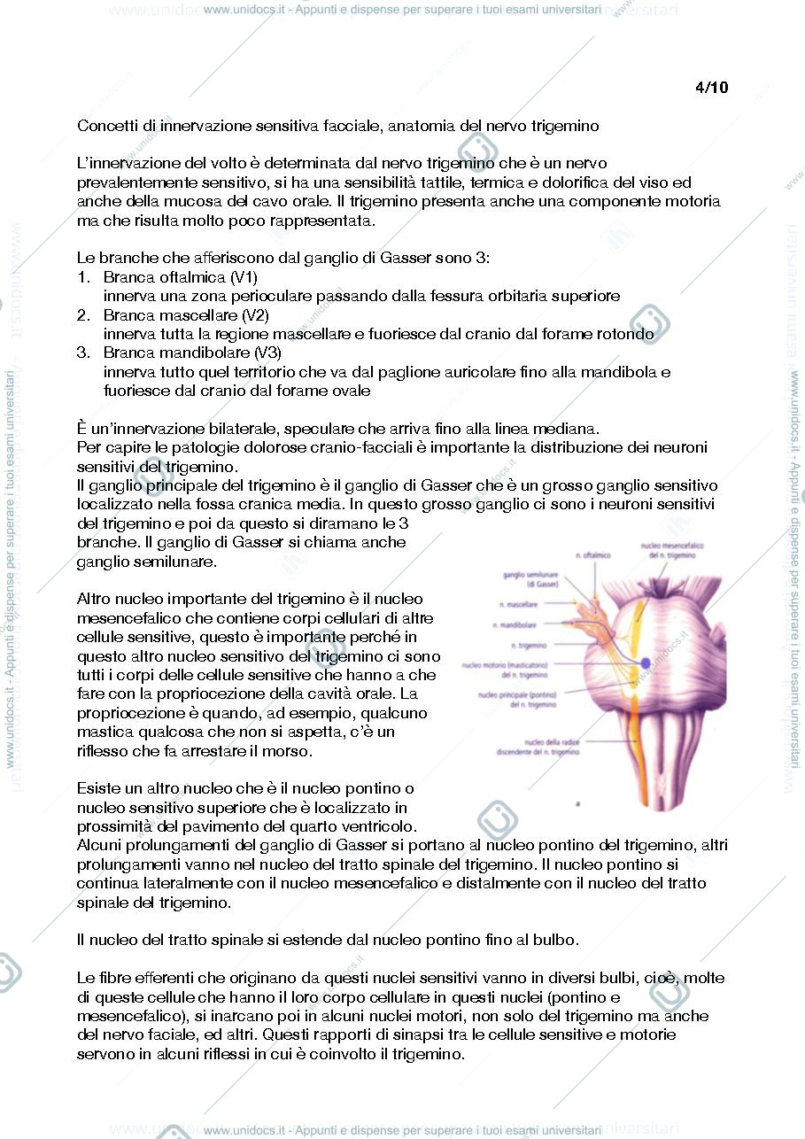 Anteprima pagina 1 — Neurochirurgia 