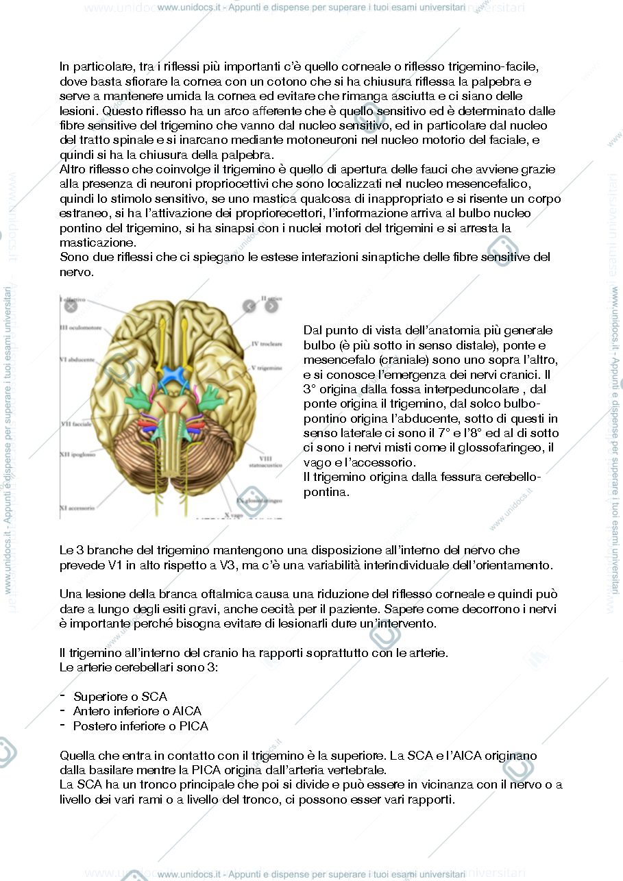 Anteprima pagina 2 — Neurochirurgia 