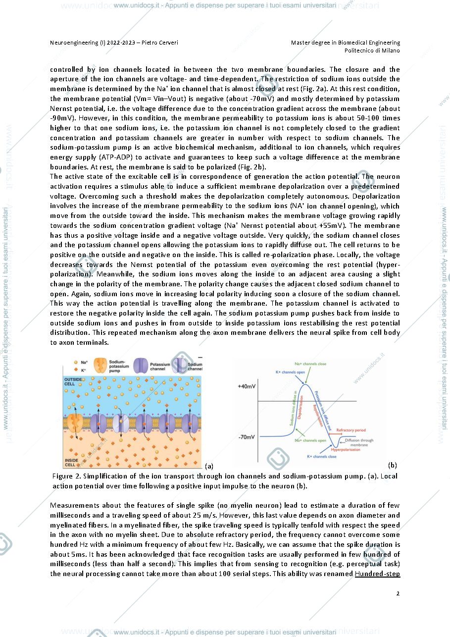 Anteprima pagina 2 — Neuroengineering (I) 2022‐2023 – Pietro Cerveri