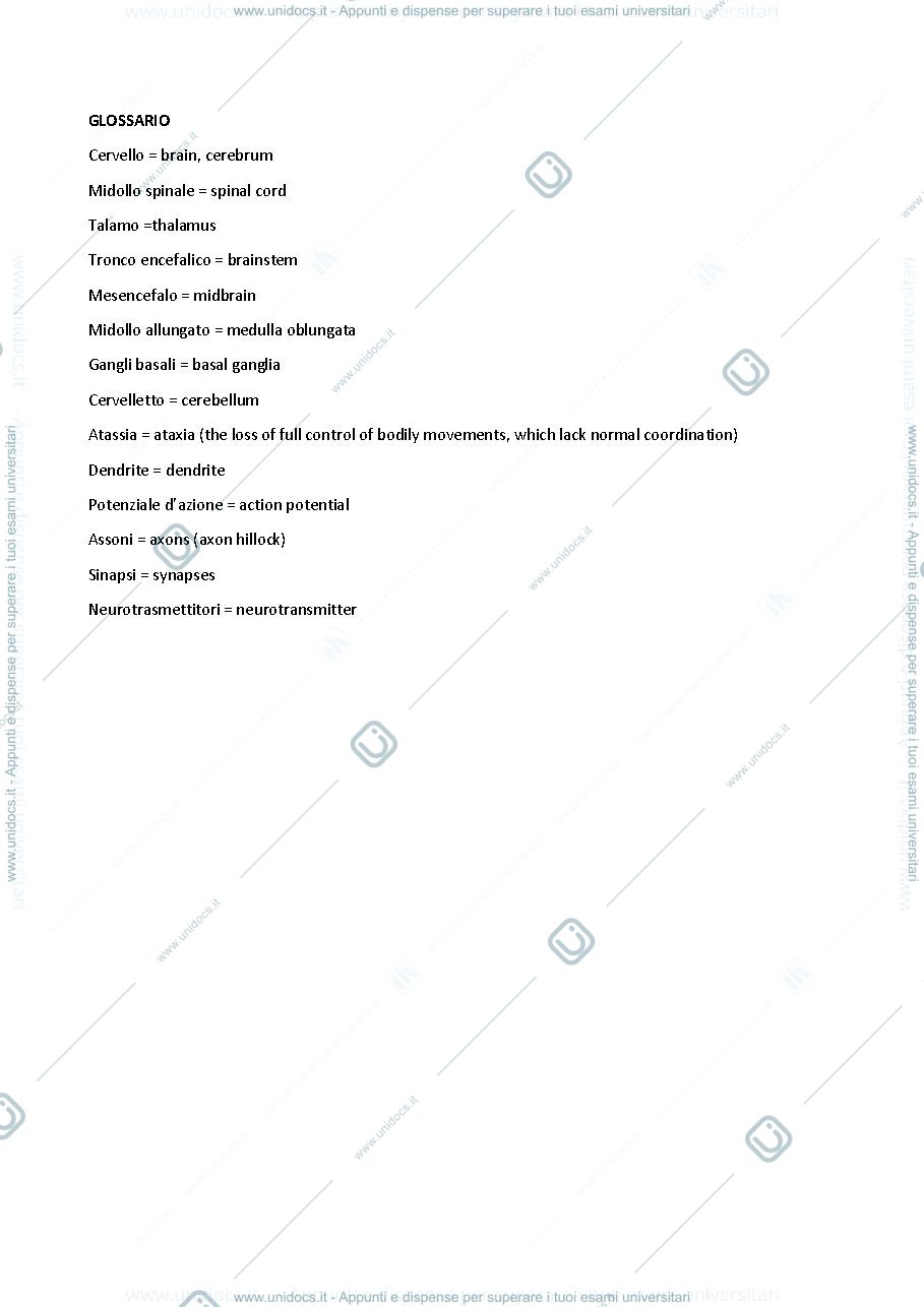 Anteprima pagina 1 — Appunti del corso di Neuroengineering