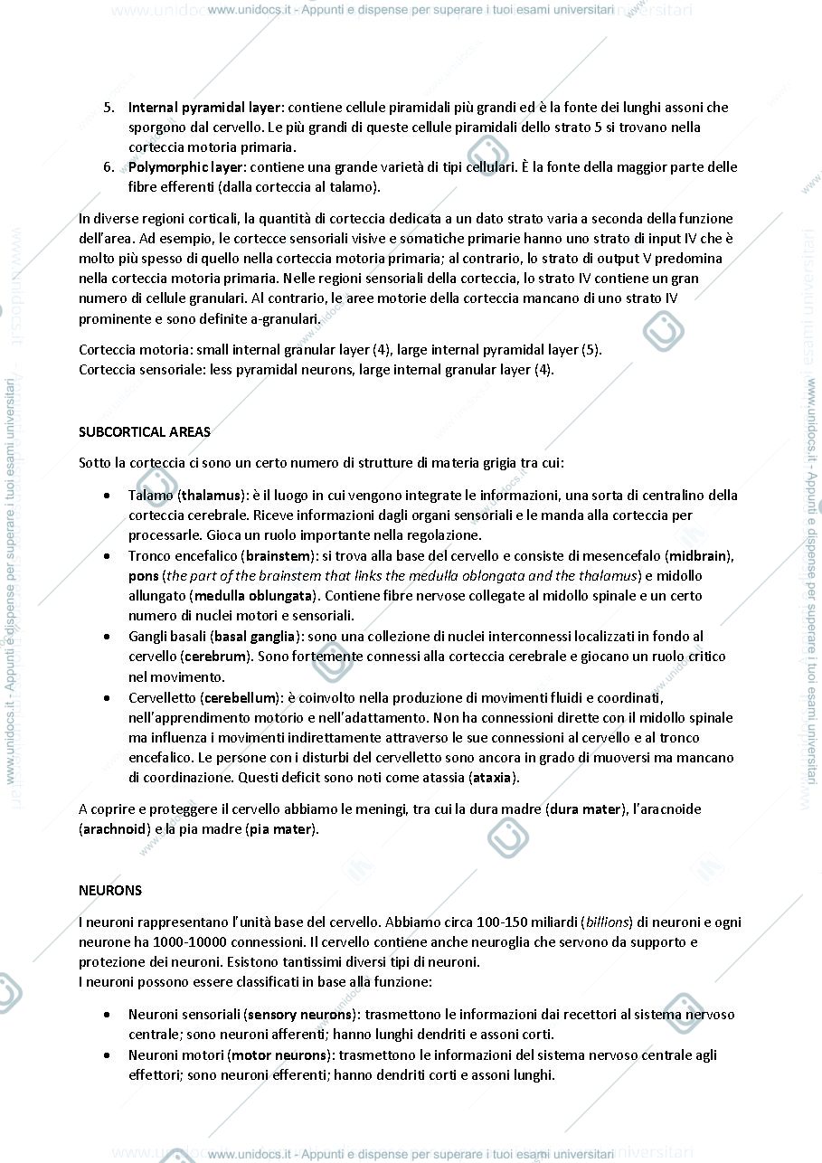 Anteprima pagina 3 — Appunti del corso di Neuroengineering