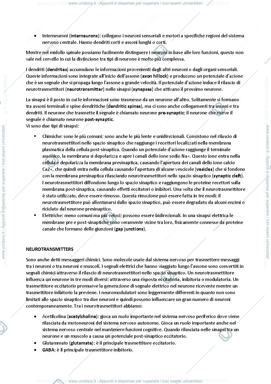 Anteprima pagina 4 — Appunti del corso di Neuroengineering