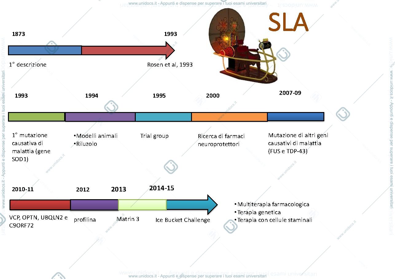 Anteprima pagina 3 — SLA 