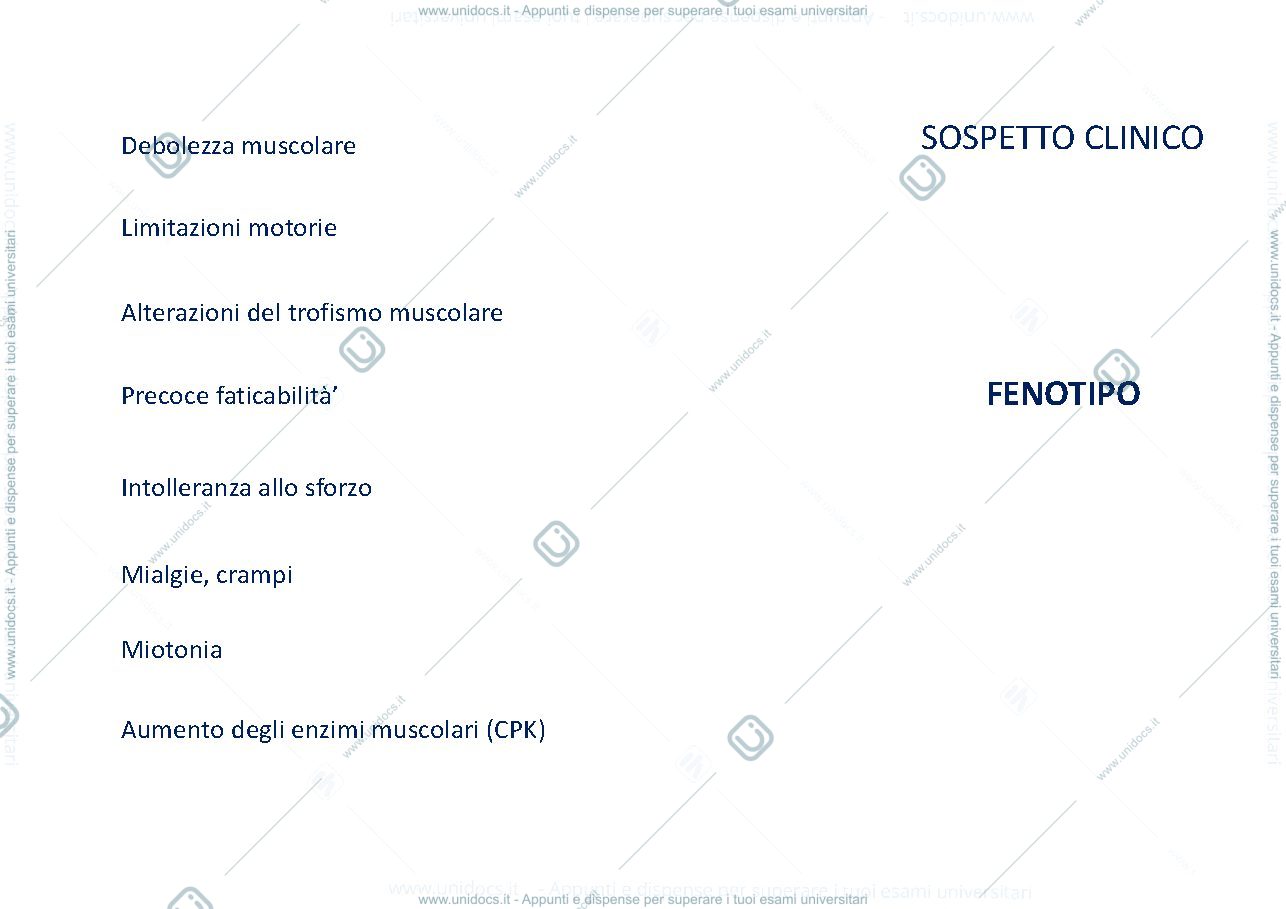 Anteprima pagina 2 — diagnostica malattie neuromuscolari 