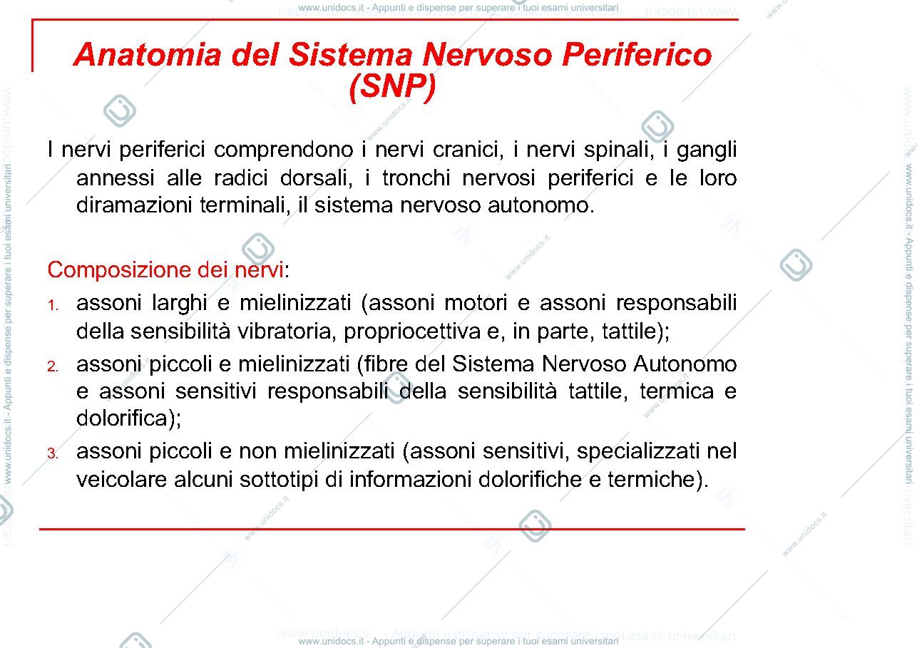Anteprima pagina 2 — Neuropatie periferiche 