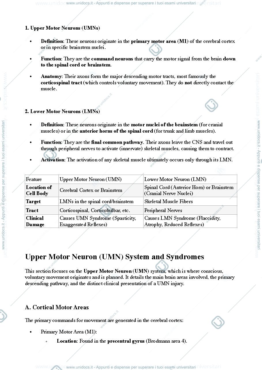 Anteprima pagina 2 — motor system