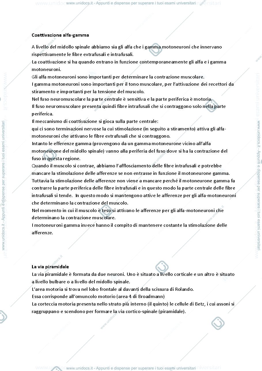 Anteprima pagina 1 — neurofisiologia-