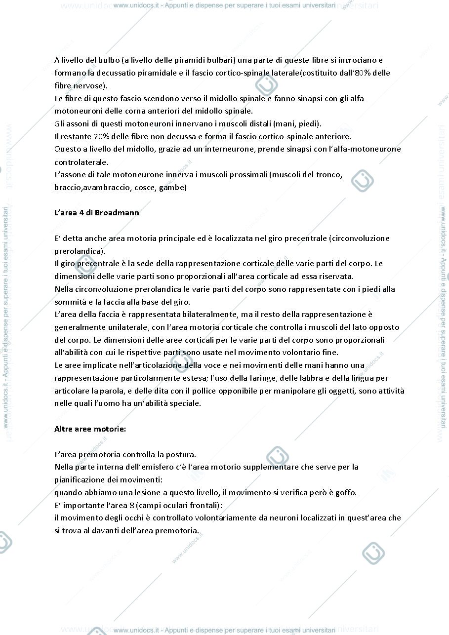 Anteprima pagina 2 — neurofisiologia-