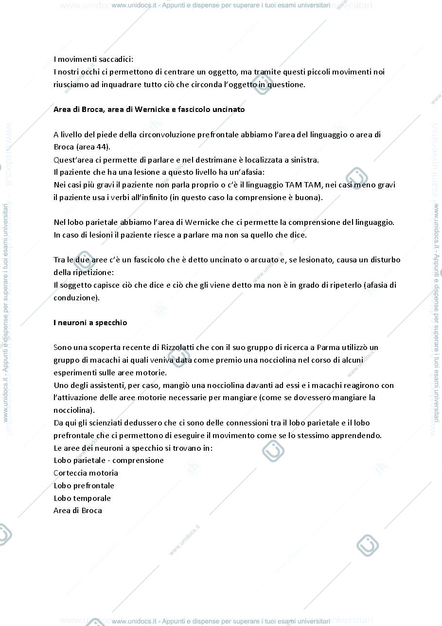 Anteprima pagina 3 — neurofisiologia
