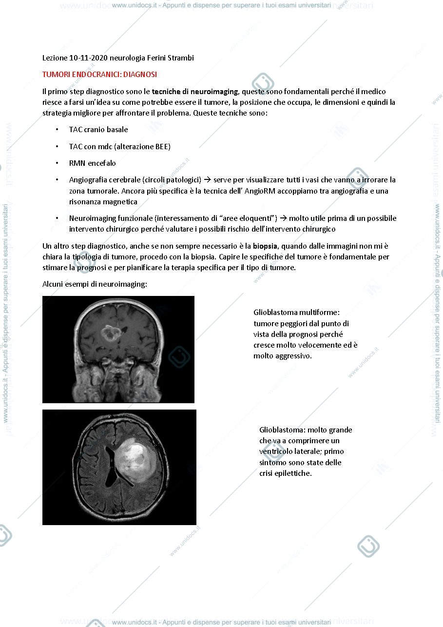 Anteprima pagina 1 — tumori SN