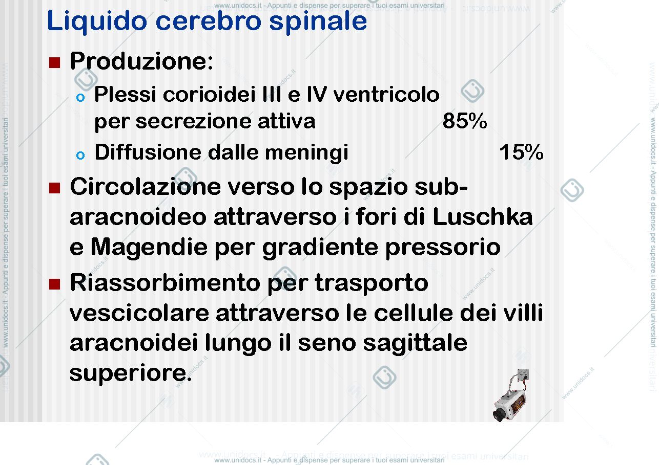Anteprima pagina 4 — Infezioni del S.N.C.