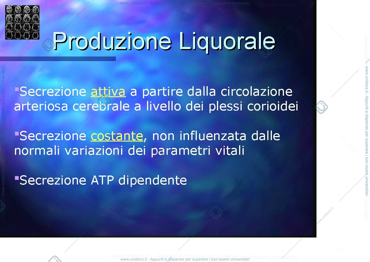 Anteprima pagina 3 — idrocefalo