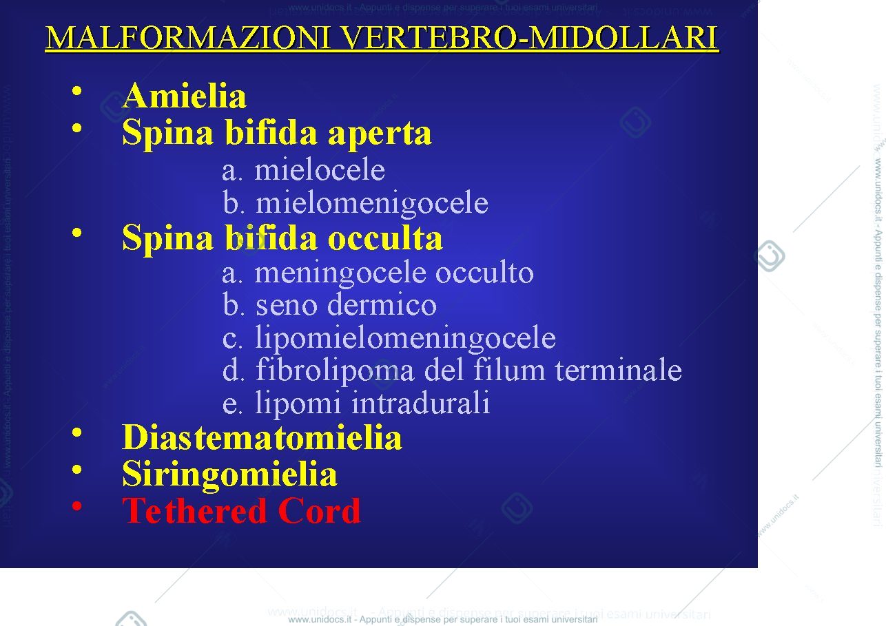 Anteprima pagina 1 — MALFORMAZIONI VERTEBRO-MIDOLLARI