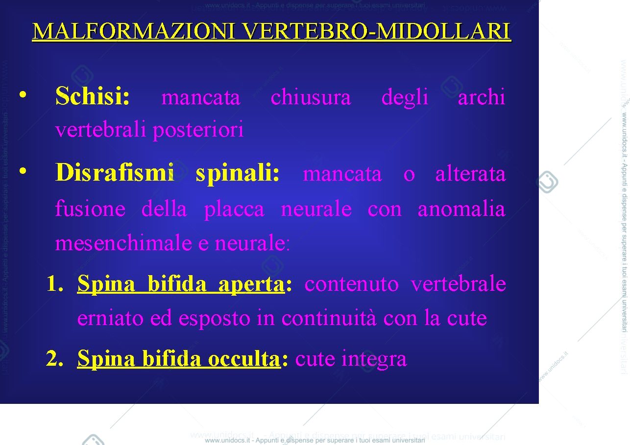 Anteprima pagina 2 — MALFORMAZIONI VERTEBRO-MIDOLLARI