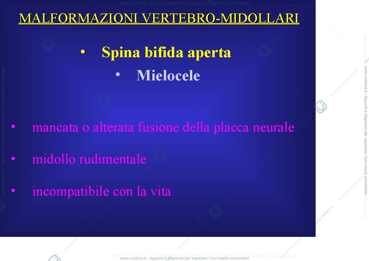 Anteprima pagina 3 — MALFORMAZIONI VERTEBRO-MIDOLLARI