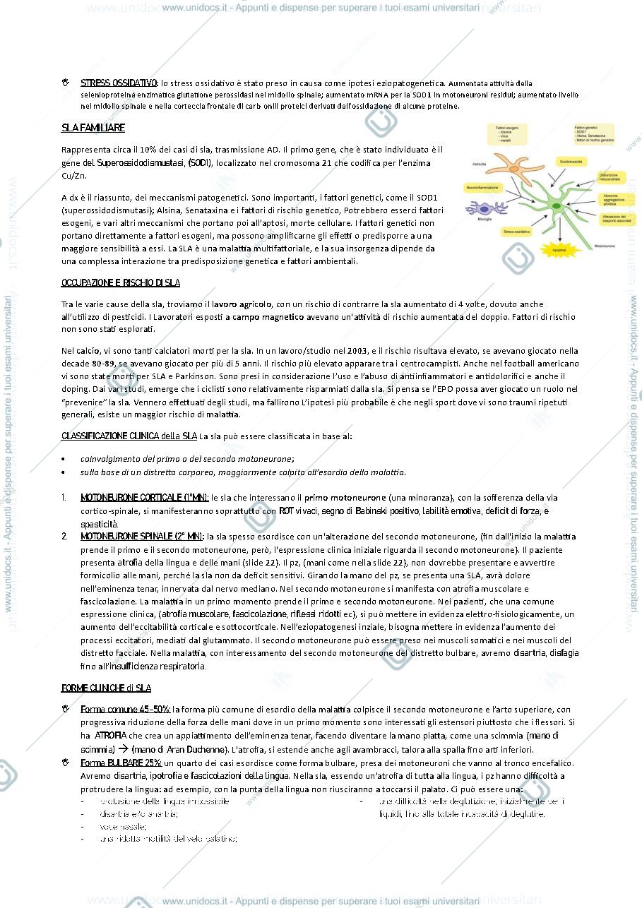 Anteprima pagina 2 — Appunti neuro