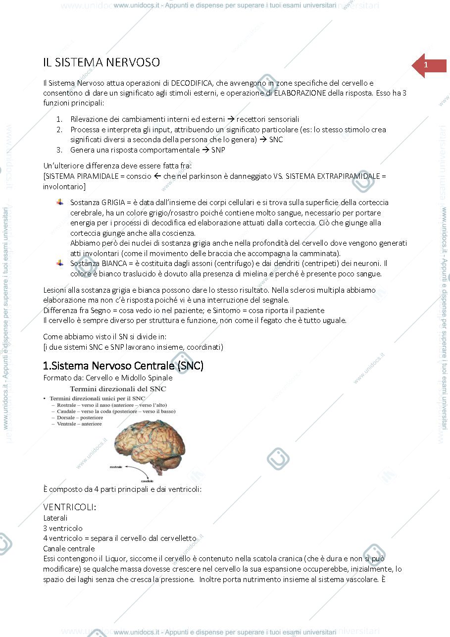 Anteprima pagina 1 — Neurologia clinica