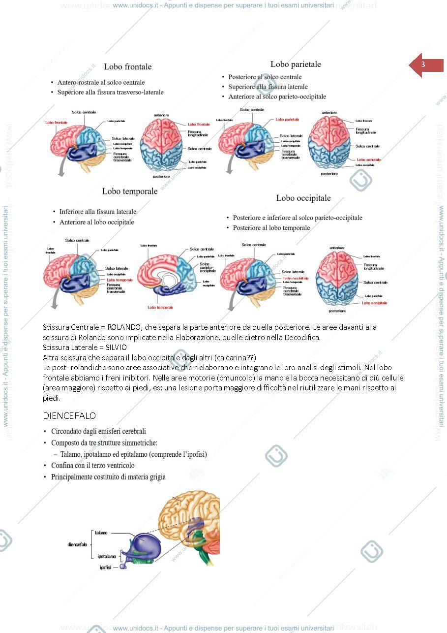 Anteprima pagina 3 — Neurologia clinica