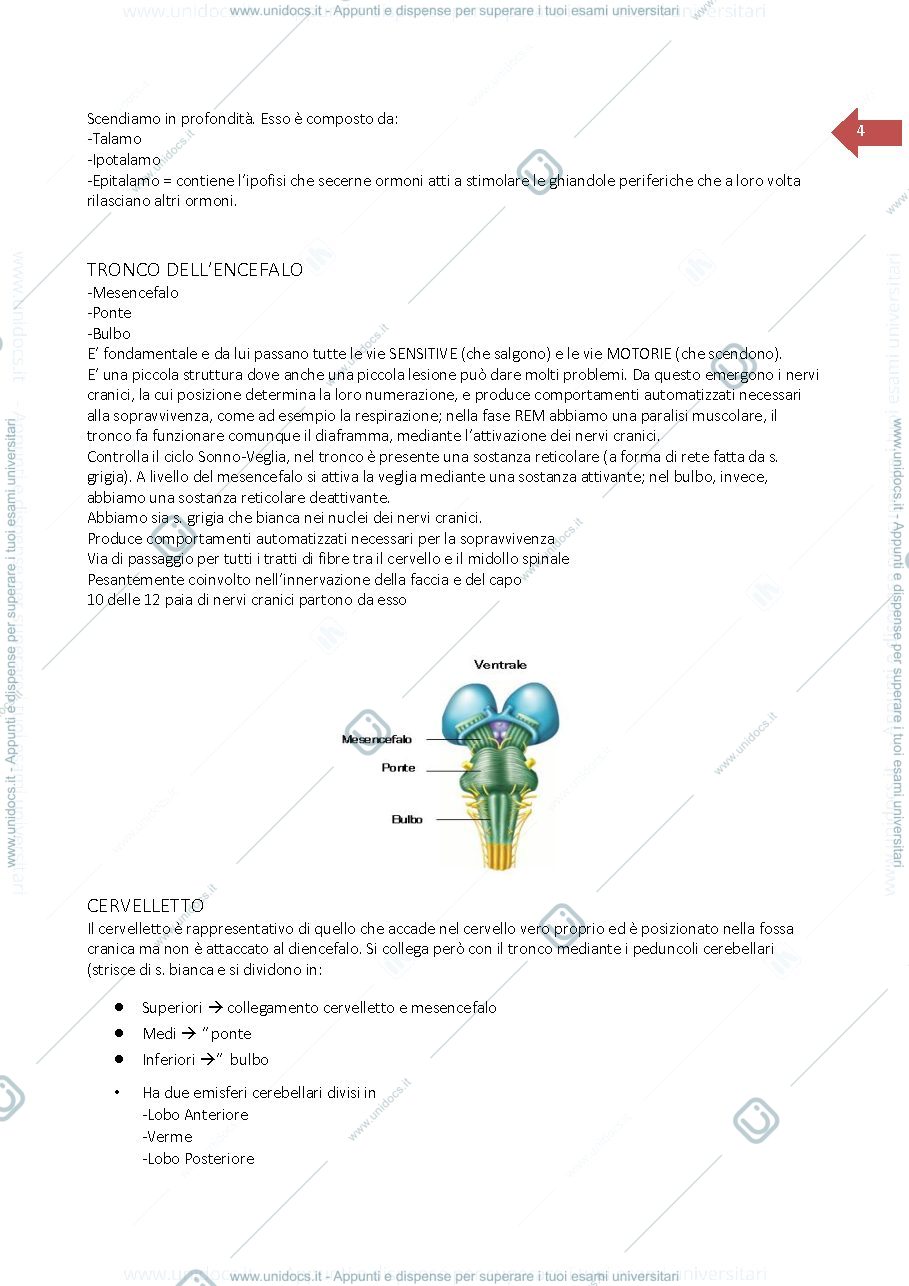 Anteprima pagina 4 — Neurologia clinica