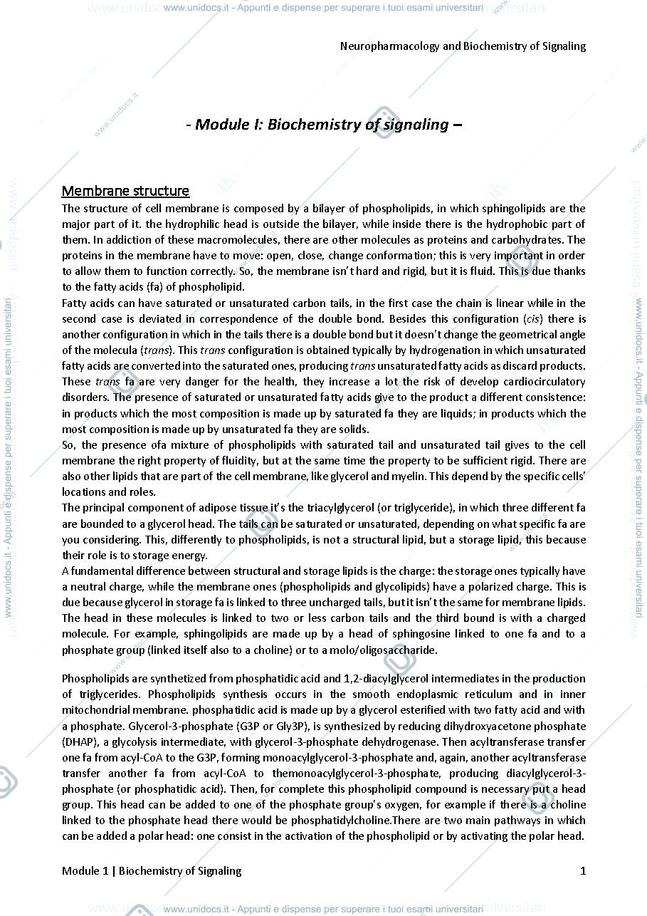 Anteprima pagina 2 — NEUROPHARMACOLOGY AND BIOCHEMISTRY OF SIGNALING notes