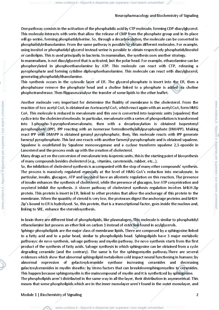 Anteprima pagina 3 — NEUROPHARMACOLOGY AND BIOCHEMISTRY OF SIGNALING notes