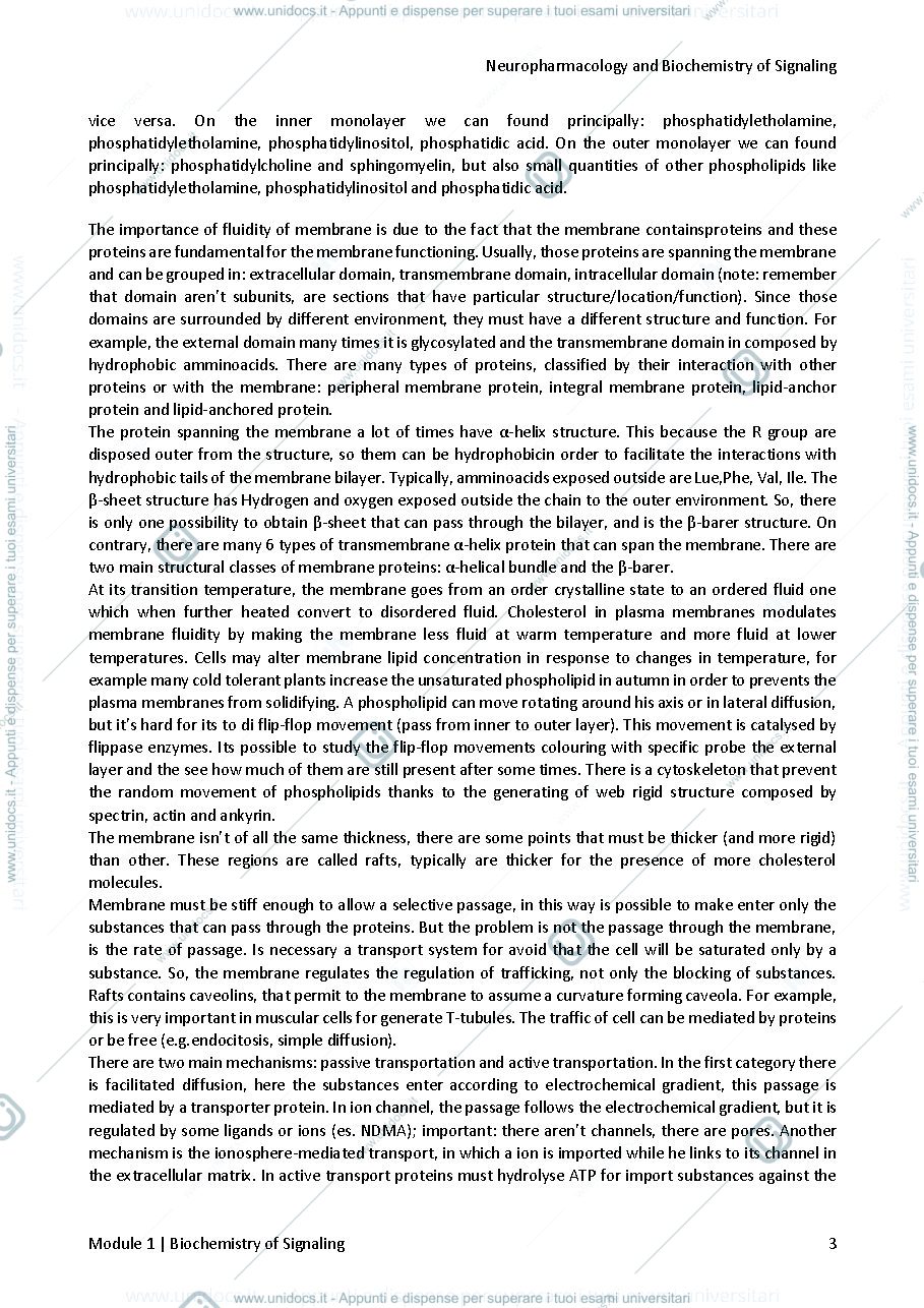 Anteprima pagina 4 — NEUROPHARMACOLOGY AND BIOCHEMISTRY OF SIGNALING notes