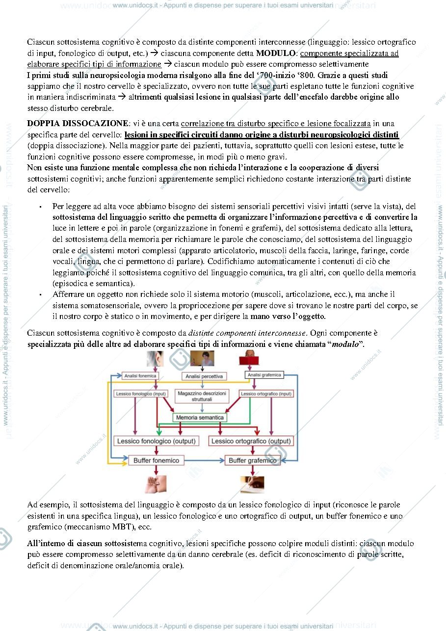 Anteprima pagina 3 — Appunti neuropsicologia clinica 