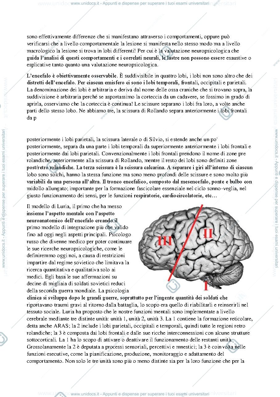Anteprima pagina 3 — sbobbina priftis 