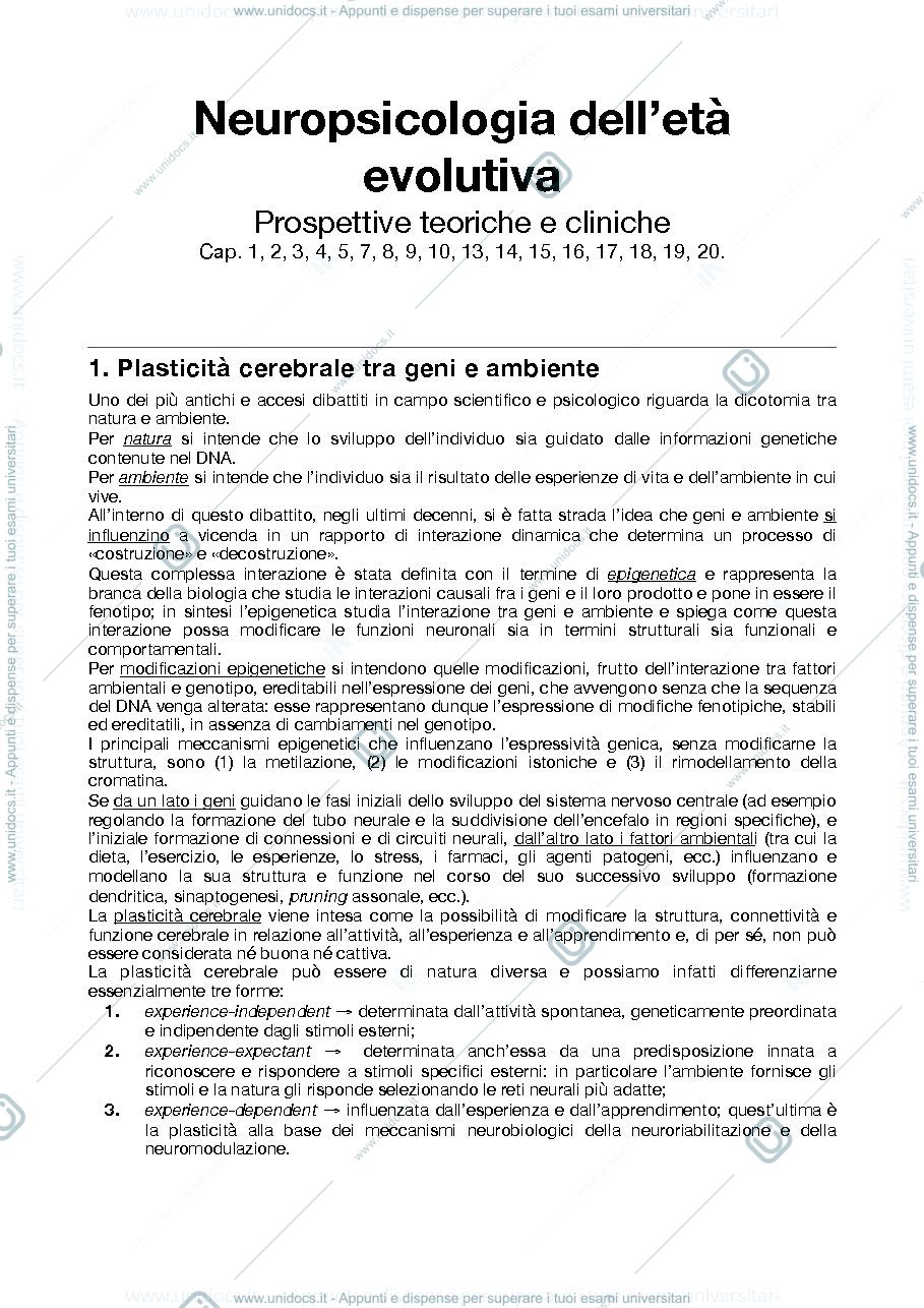 Anteprima pagina 1 — Riassunto libro neuropsicologia dello sviluppo e riabilitazione