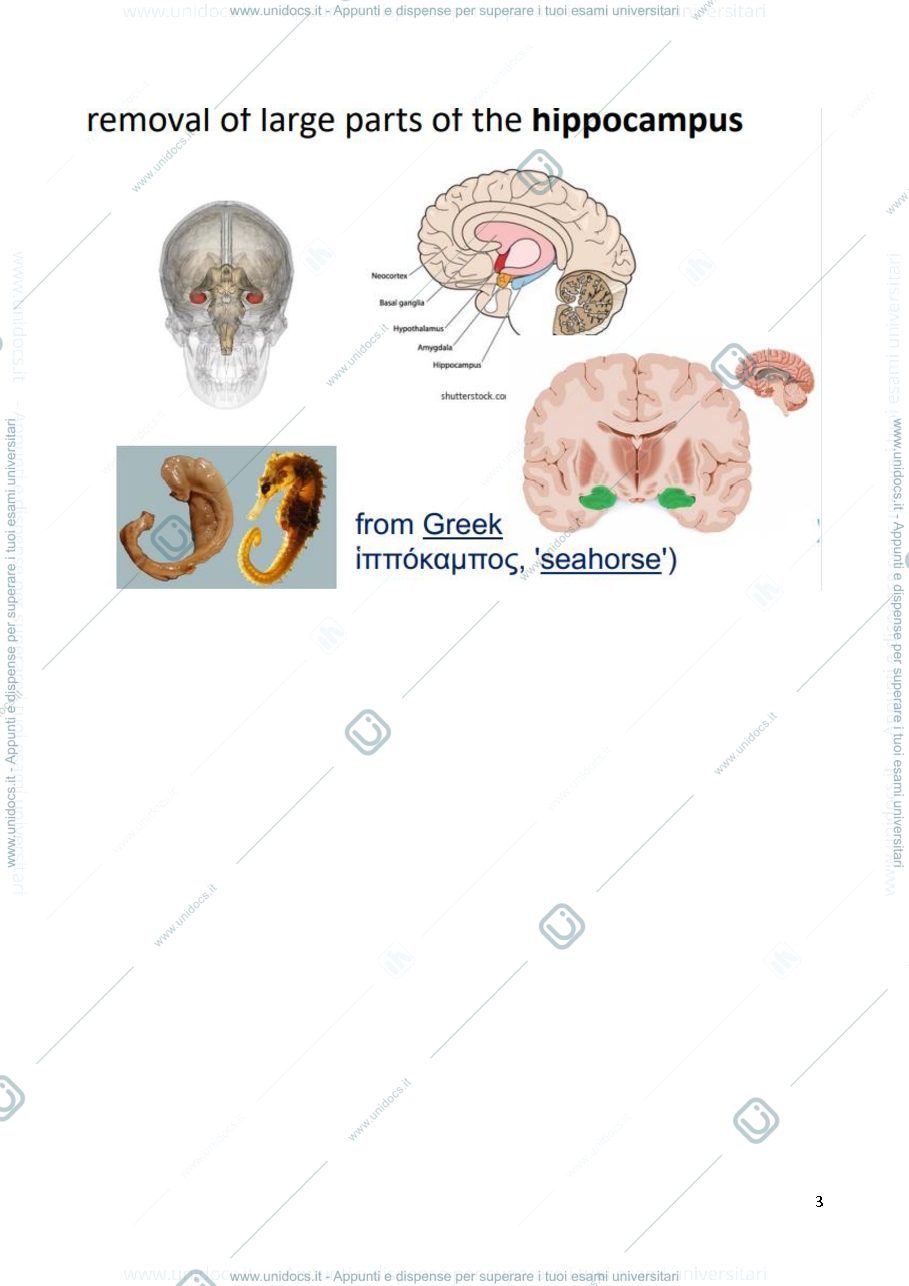 Anteprima pagina 3 — Clinical neuropsychology
