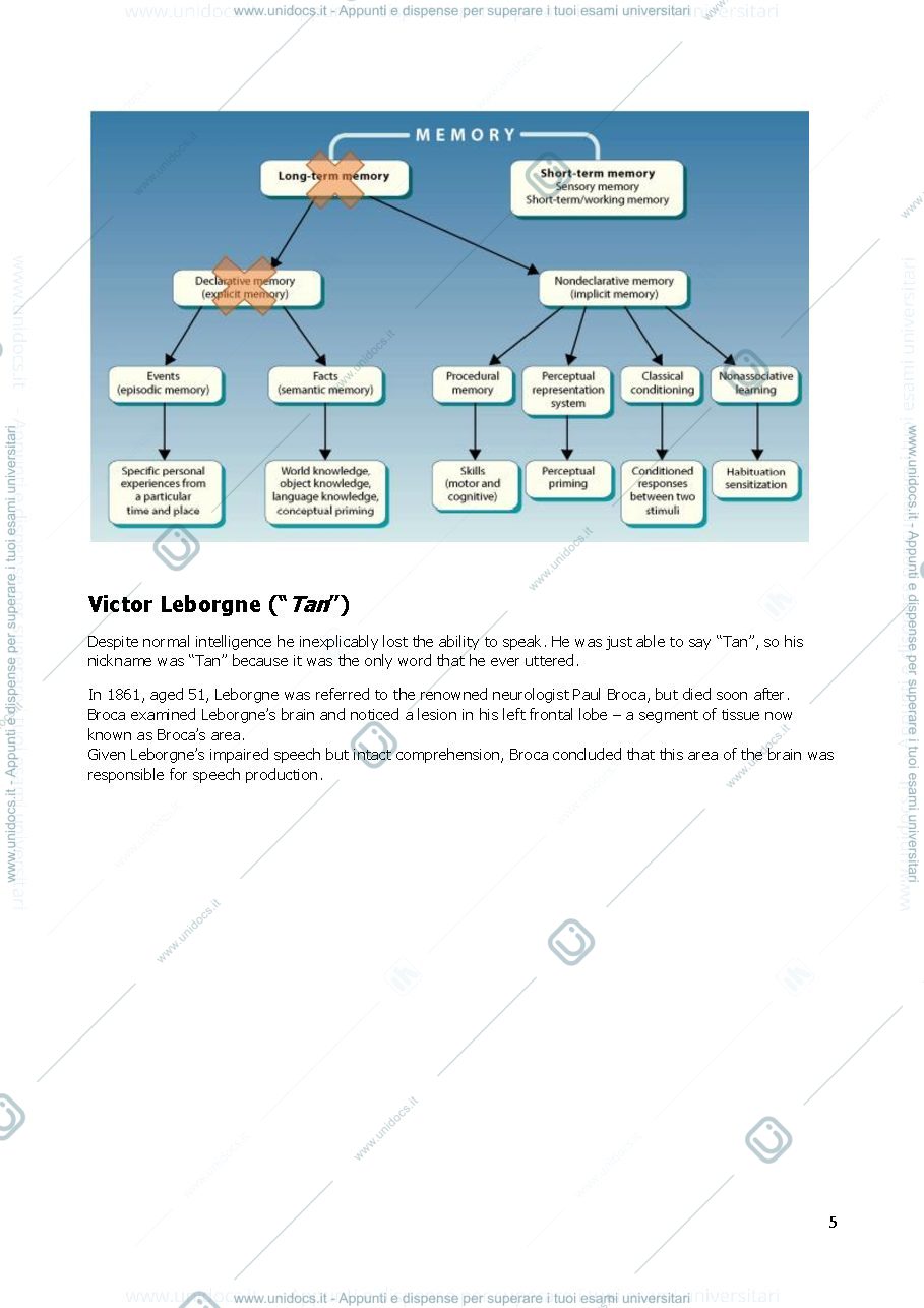 Anteprima pagina 5 — Clinical neuropsychology