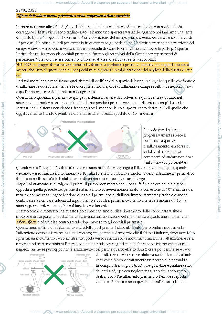 Anteprima pagina 1 — Lezione Neppi