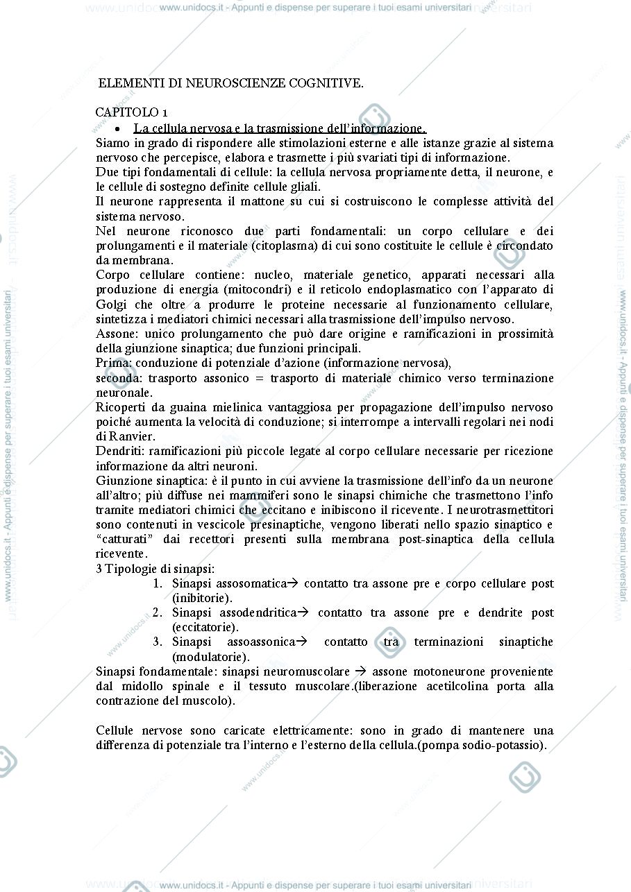 Anteprima pagina 1 — Elementi di neuroscienze cognitive