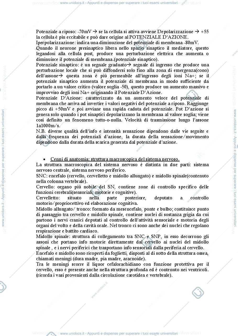 Anteprima pagina 2 — Elementi di neuroscienze cognitive