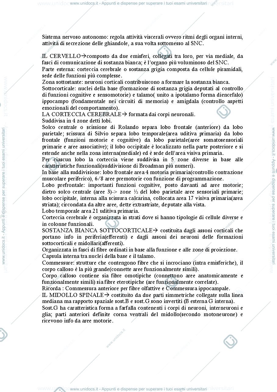 Anteprima pagina 3 — Elementi di neuroscienze cognitive