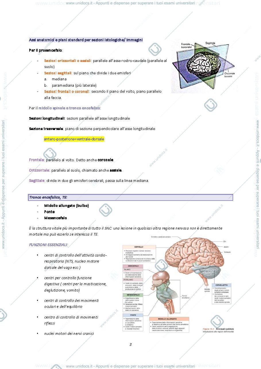 Anteprima pagina 3 — Neuropsicologia