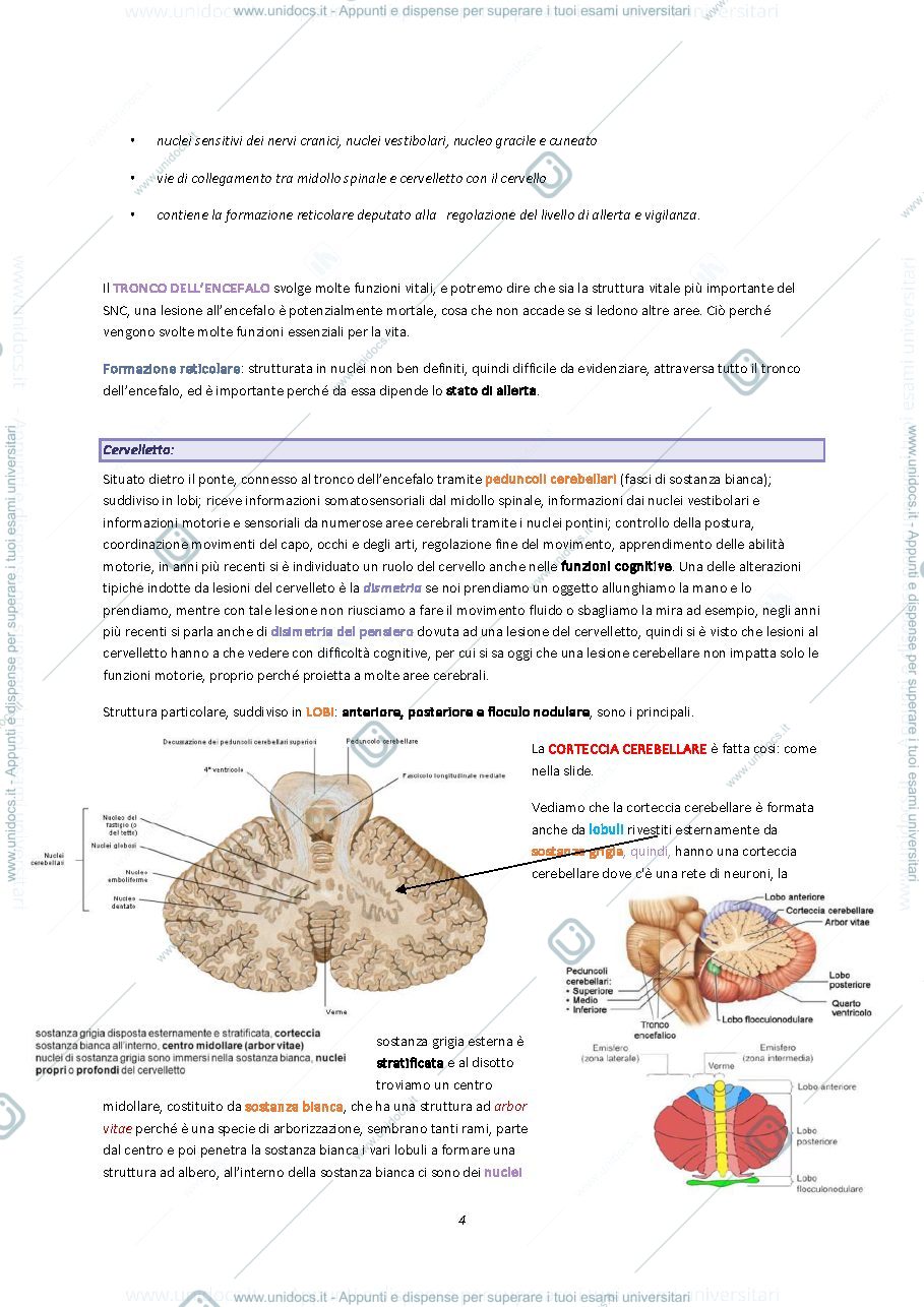 Anteprima pagina 4 — Neuropsicologia